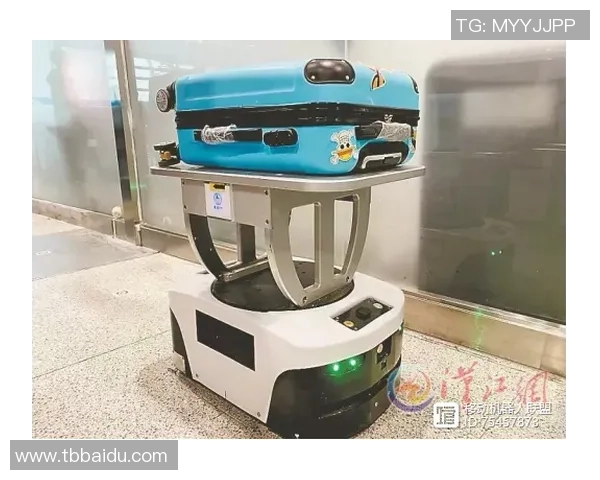 非凡娱乐程序化内容生成技术的创新与应用探索